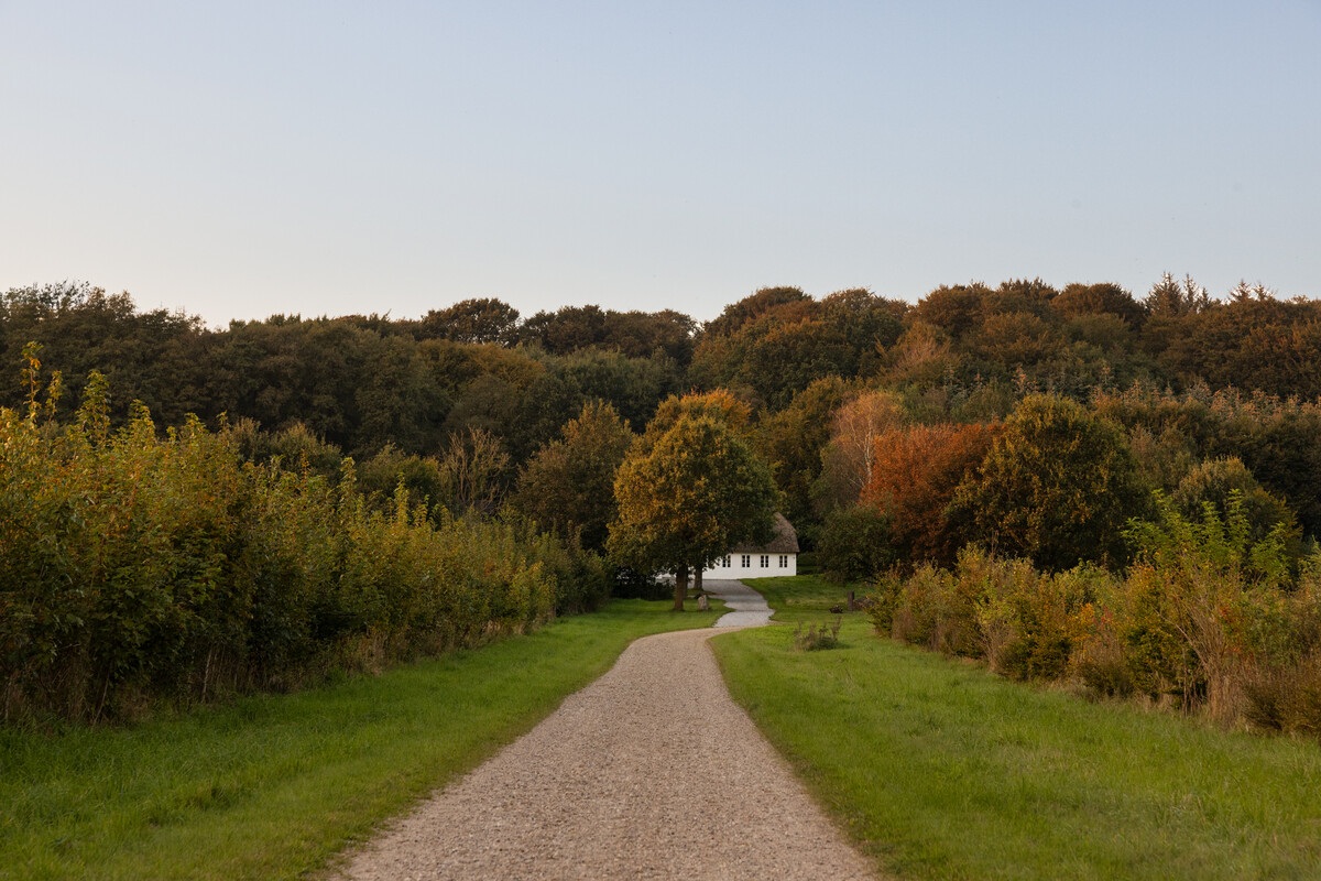 Dinesen Country Home   Douglas Classic   Lye and White Soap   8m   300 mm   35 mm   Jørgen Overbys Tegnestue   Photo Monica Grue Steffensen   48